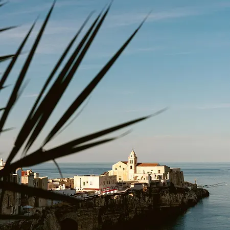 Hotel Degli Aranci