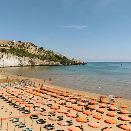 Degli Aranci 4*