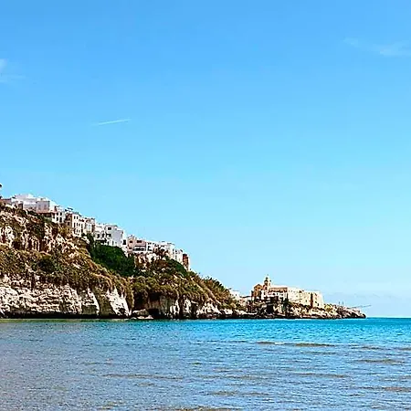 Degli Aranci 비에스테